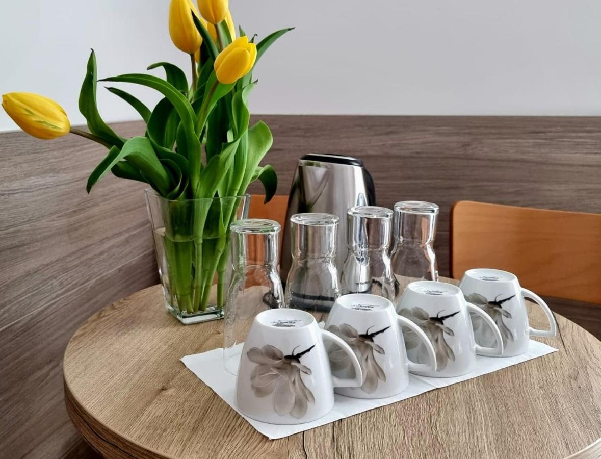 Tasarz Spa Osrodek Wczasowy 里沃 外观 照片